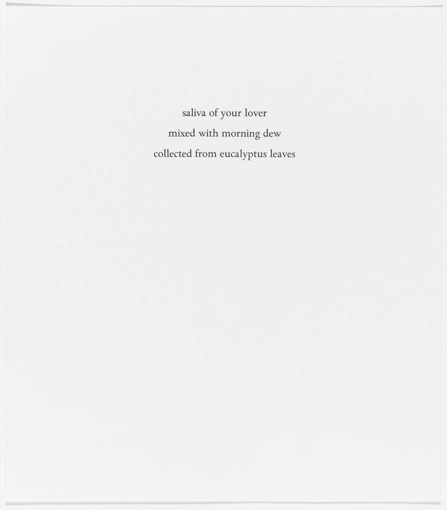 Untitled from Spirit Cooking