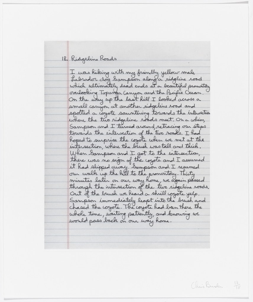 Untitled from Coyote Stories
