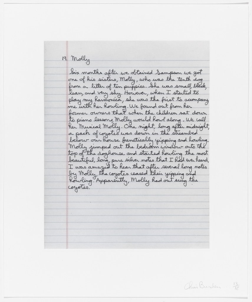 Untitled from Coyote Stories