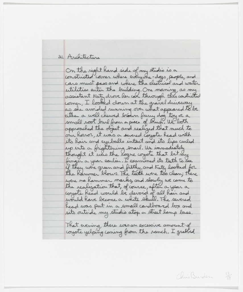 Untitled from Coyote Stories