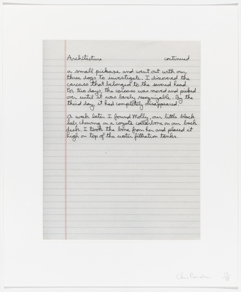 Untitled from Coyote Stories