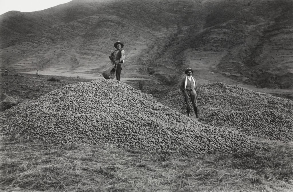 Venacio Arce and Campesino with Potato Harvest, near Katka, Quispicanchi