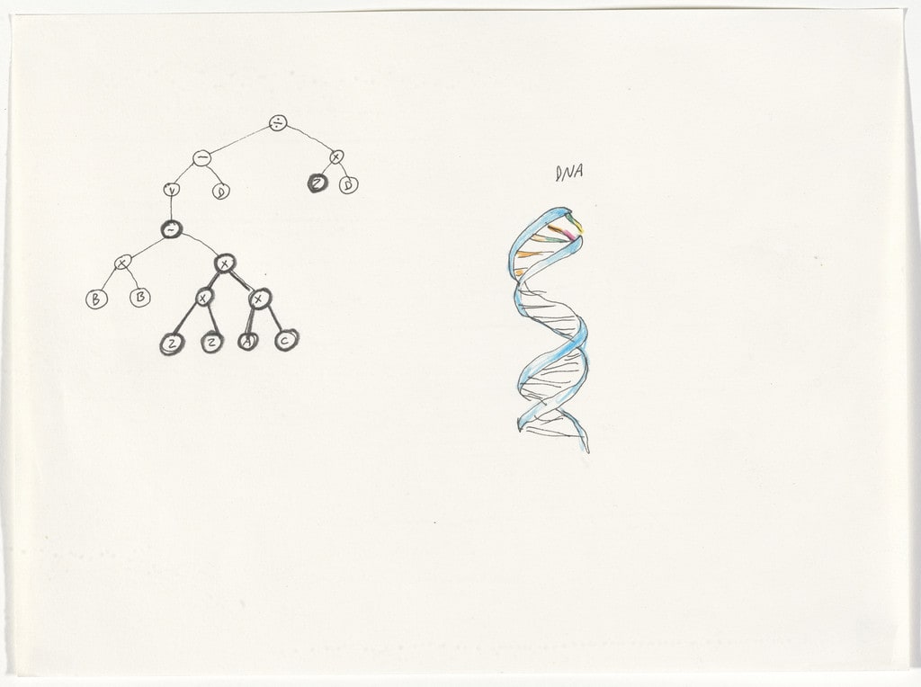 Drawings Metamorphosis