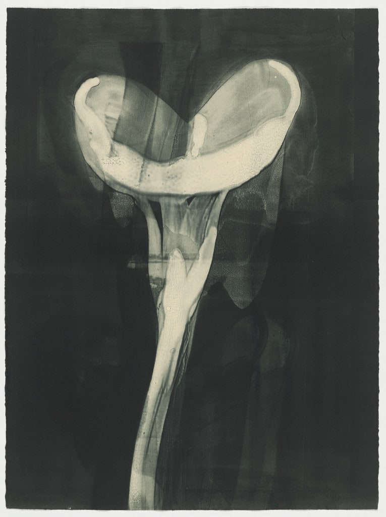 Untitled (III) from Six Gestures of the Calla