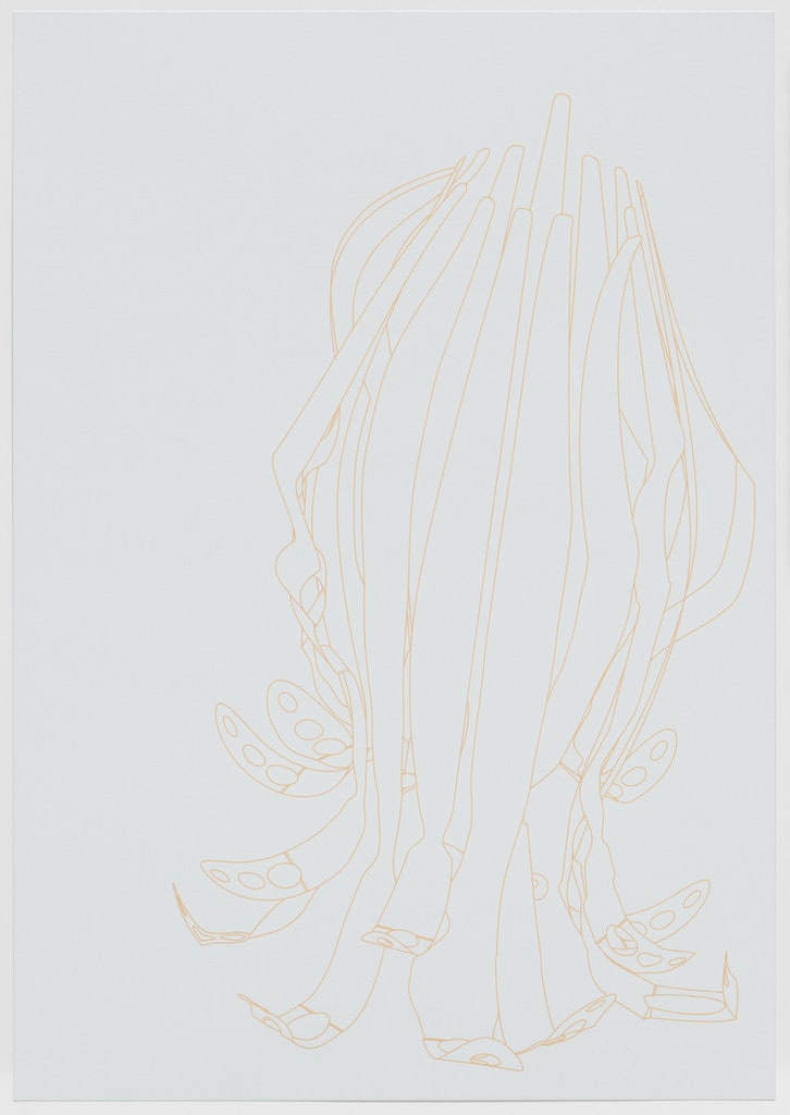 Untitled from Program