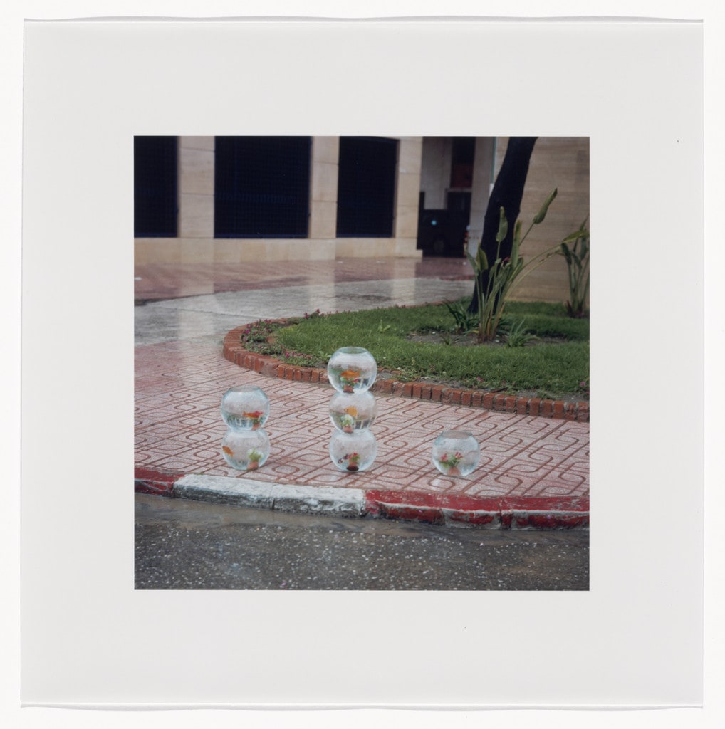 Aquariums for Sale on a Rainy Day, Tangier 2001 (for Parkett no. 91)