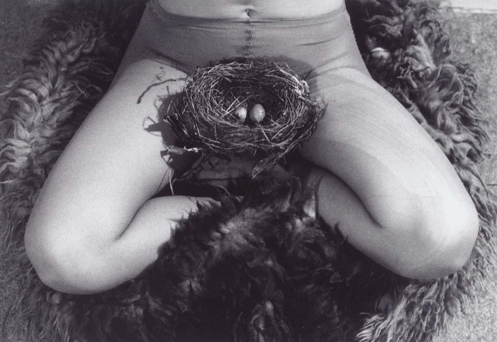 Nest