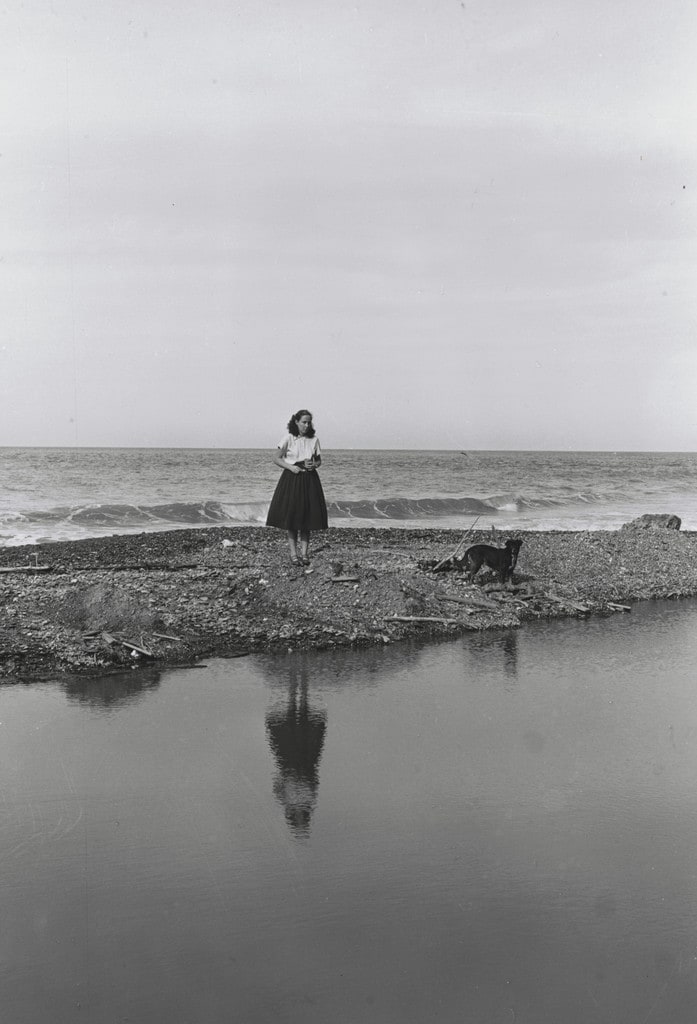 Pariata