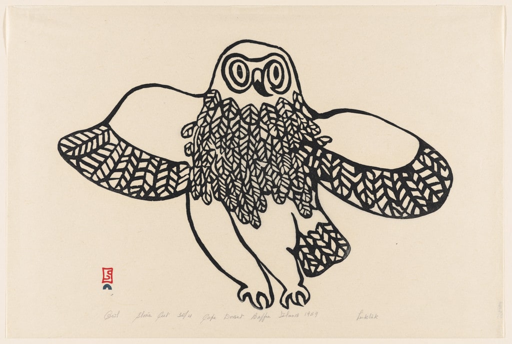 Owl