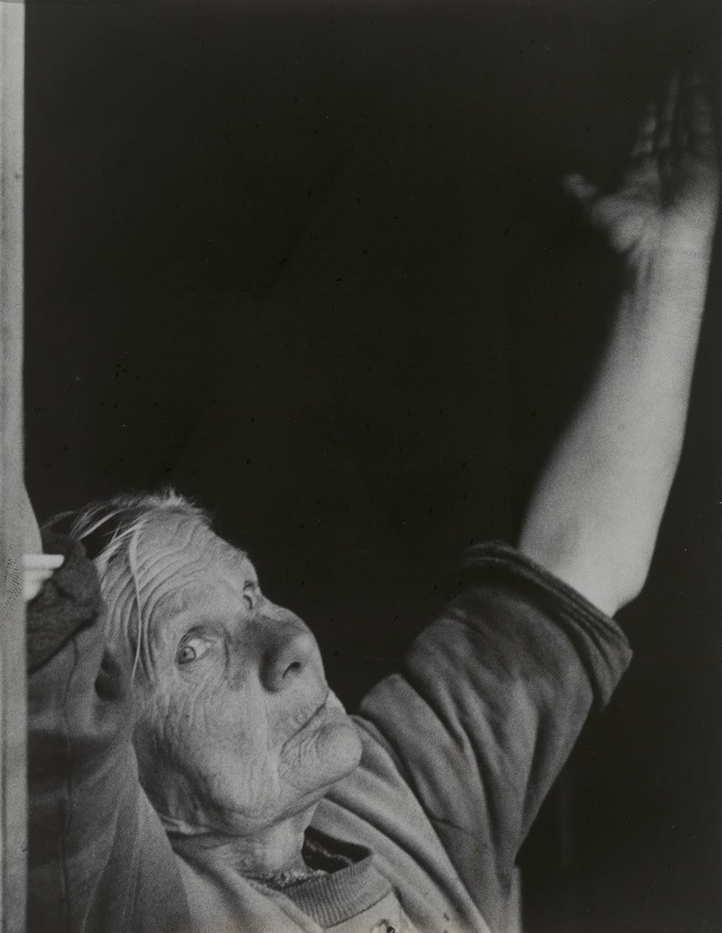 Untitled from the series Humanario