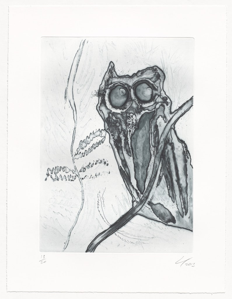 Untitled, Dark Owl from an untitled series
