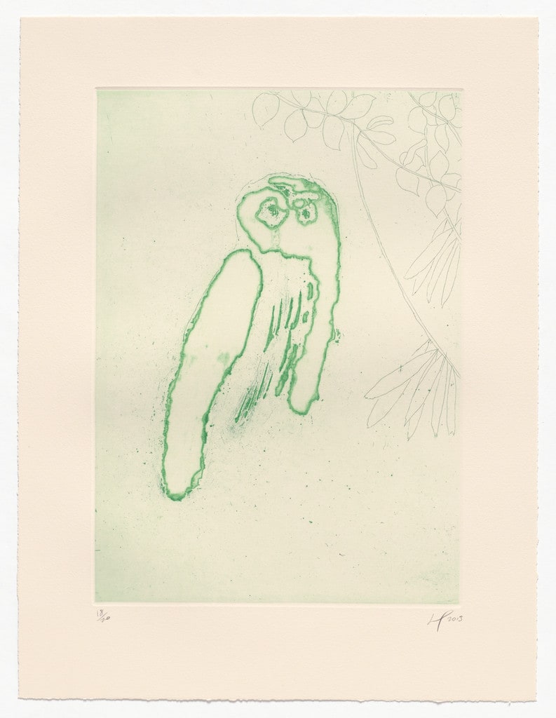 Owl (Boscoe) from an untitled series