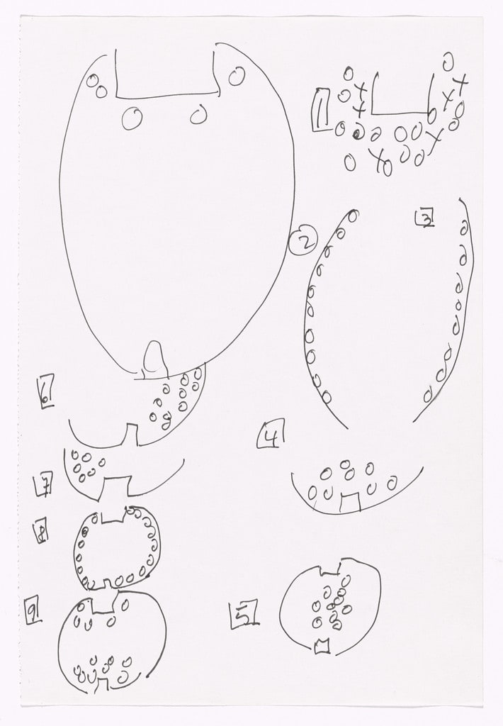 Notes for Roaratorio