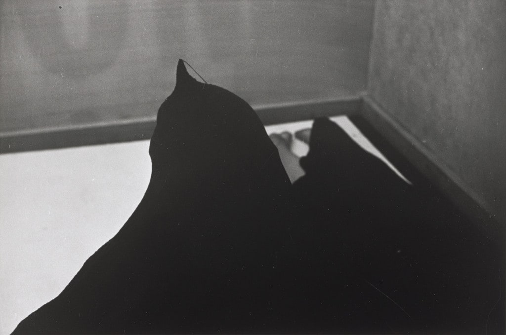 Eye Bags in The Stone, installation at Judson Gallery, March, 1966