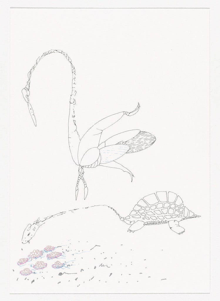 Untitled (for Parkett no. 95)