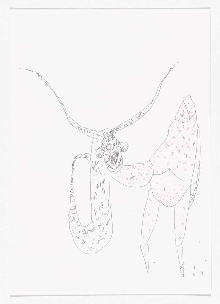 Untitled (for Parkett no. 95)