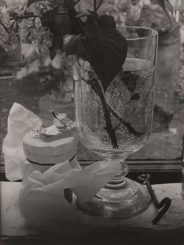 Still Life by Window