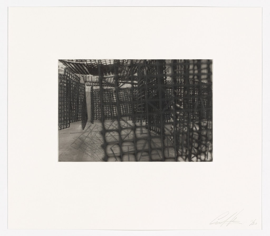 Untitled from Hanging Corridors