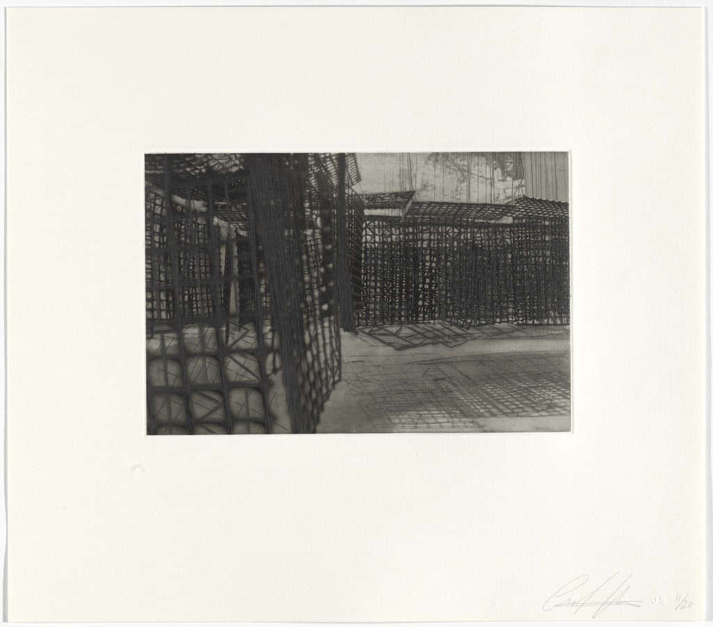 Untitled from Hanging Corridors
