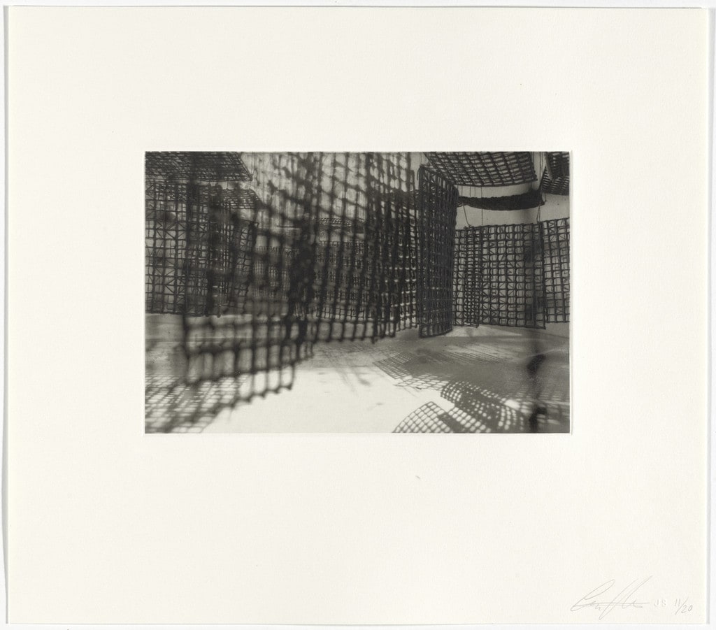 Untitled from Hanging Corridors