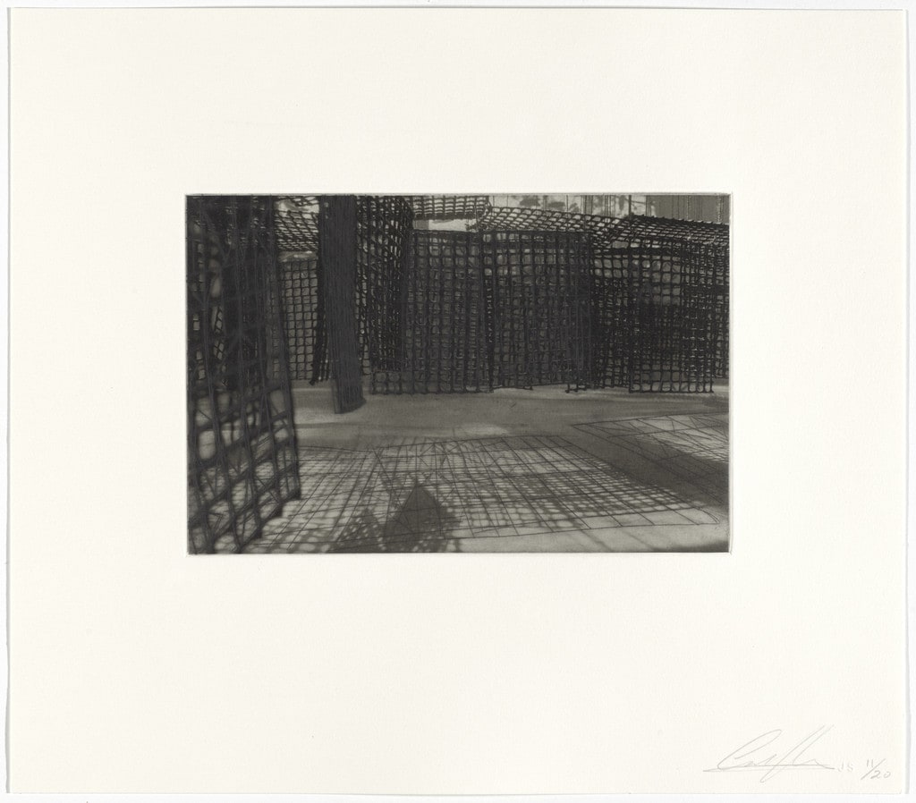 Untitled from Hanging Corridors