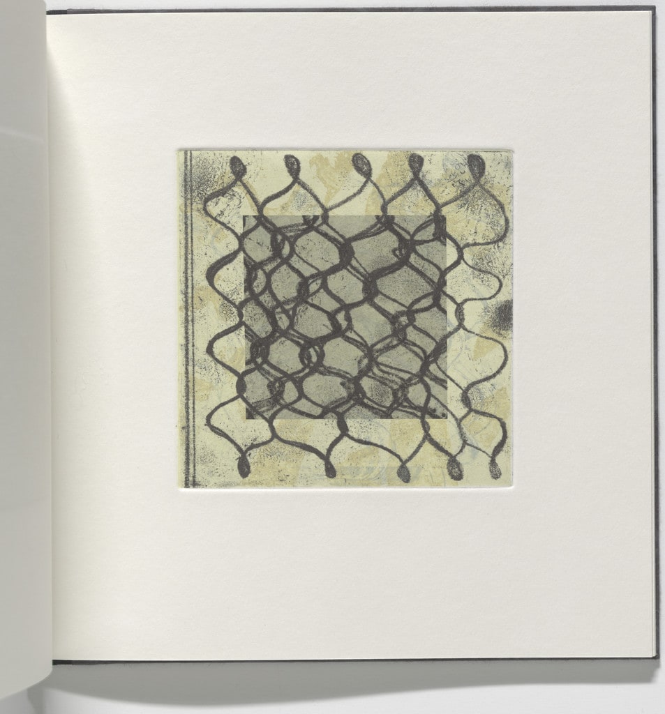 Untitled from Keffieyeh