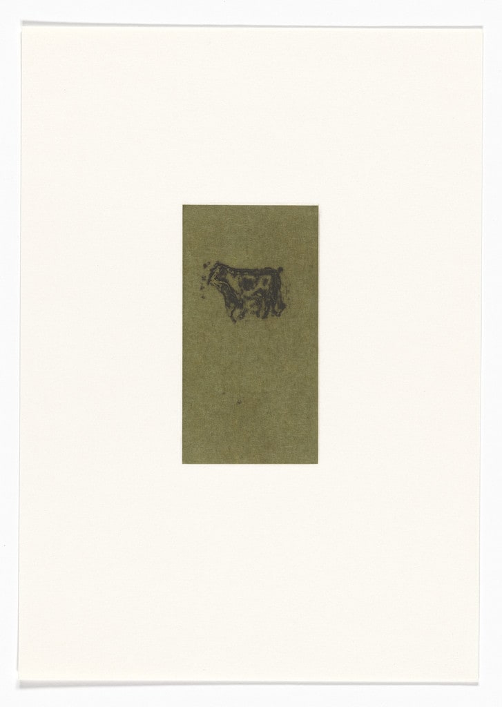 Untitled from Natural Selections