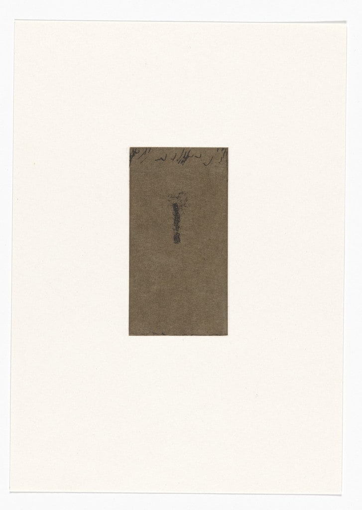Untitled from Natural Selections