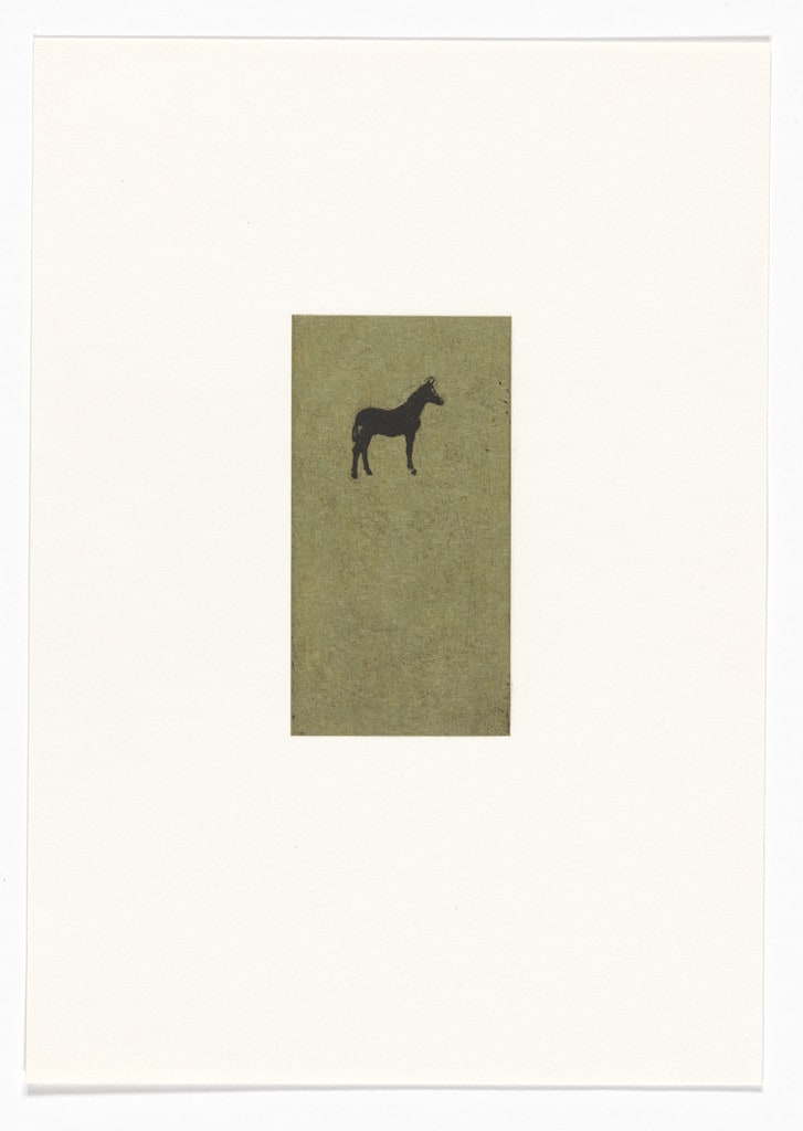 Untitled from Natural Selections