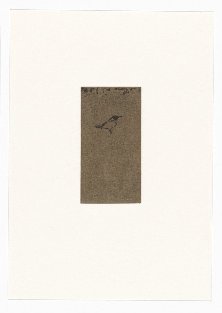 Untitled from Natural Selections
