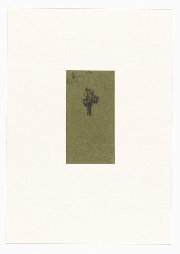 Untitled from Natural Selections