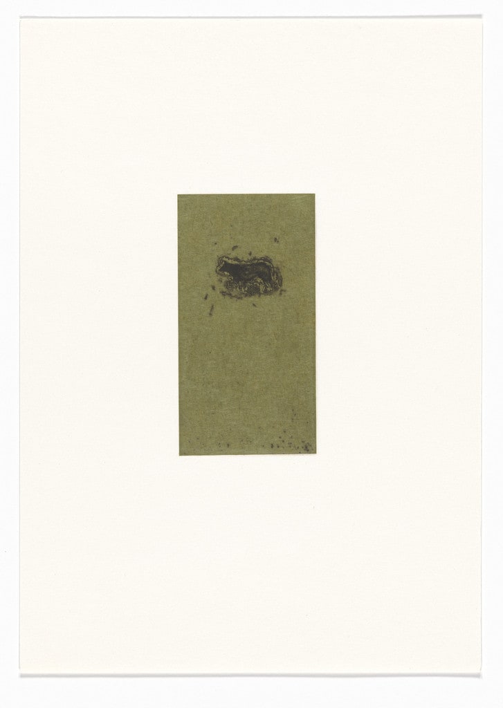 Untitled from Natural Selections