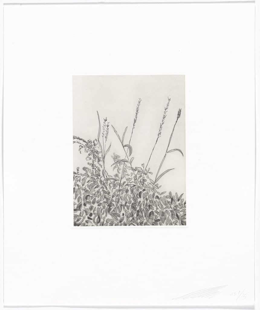 Untitled from Quiet Noise