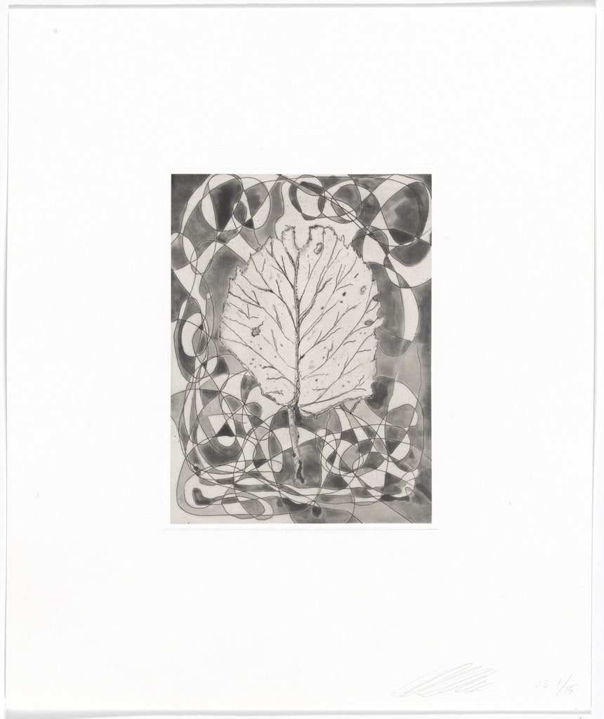Untitled from Quiet Noise