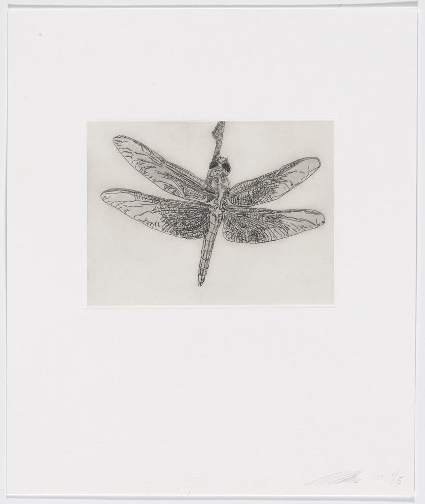 Untitled from Quiet Noise