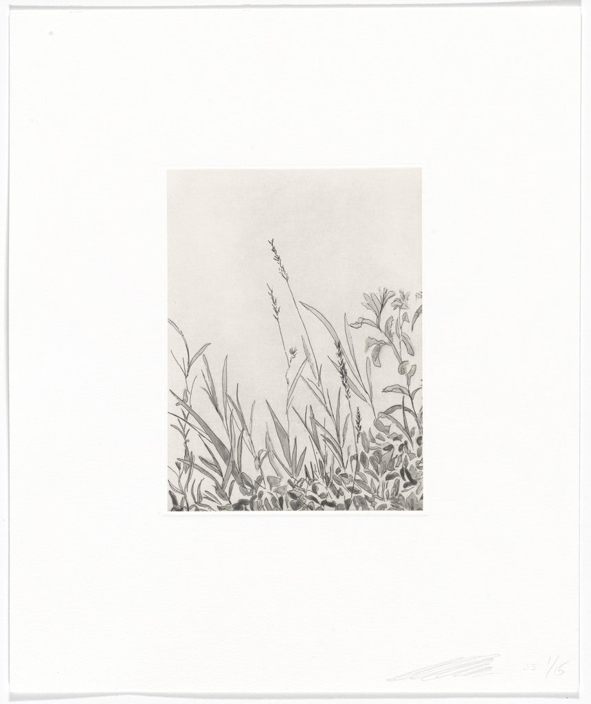 Untitled from Quiet Noise