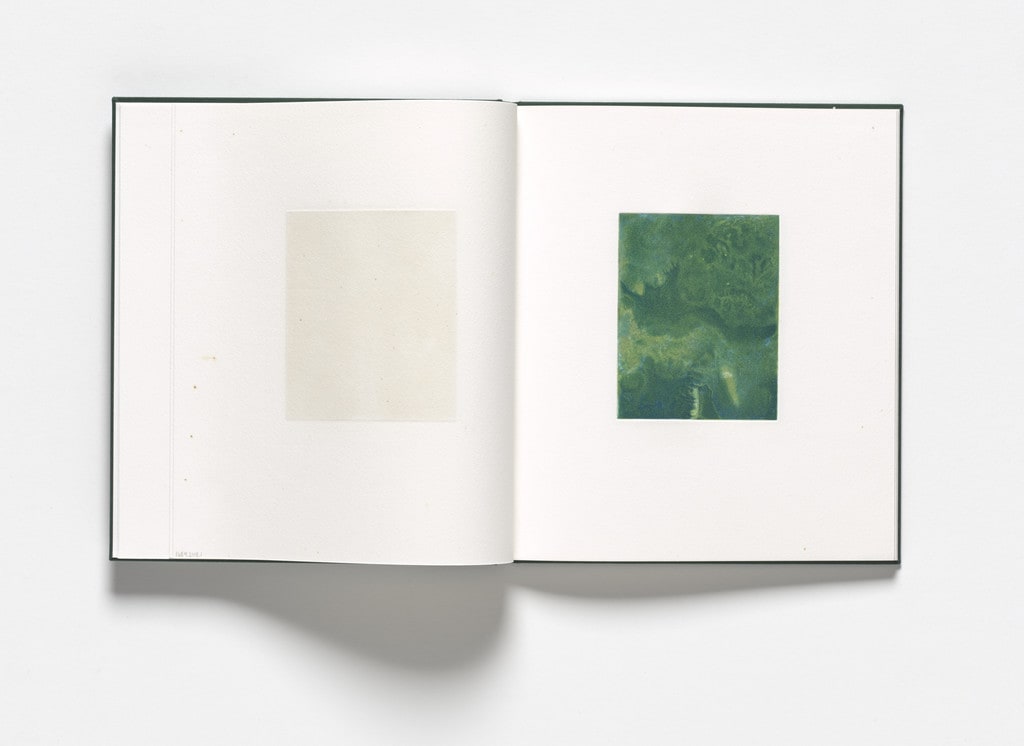 Untitled from Storm Trees