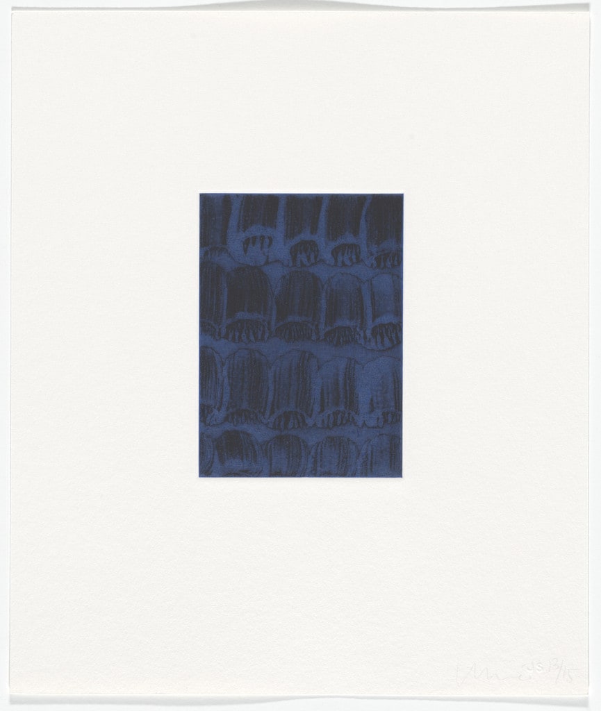 Untitled from blumania