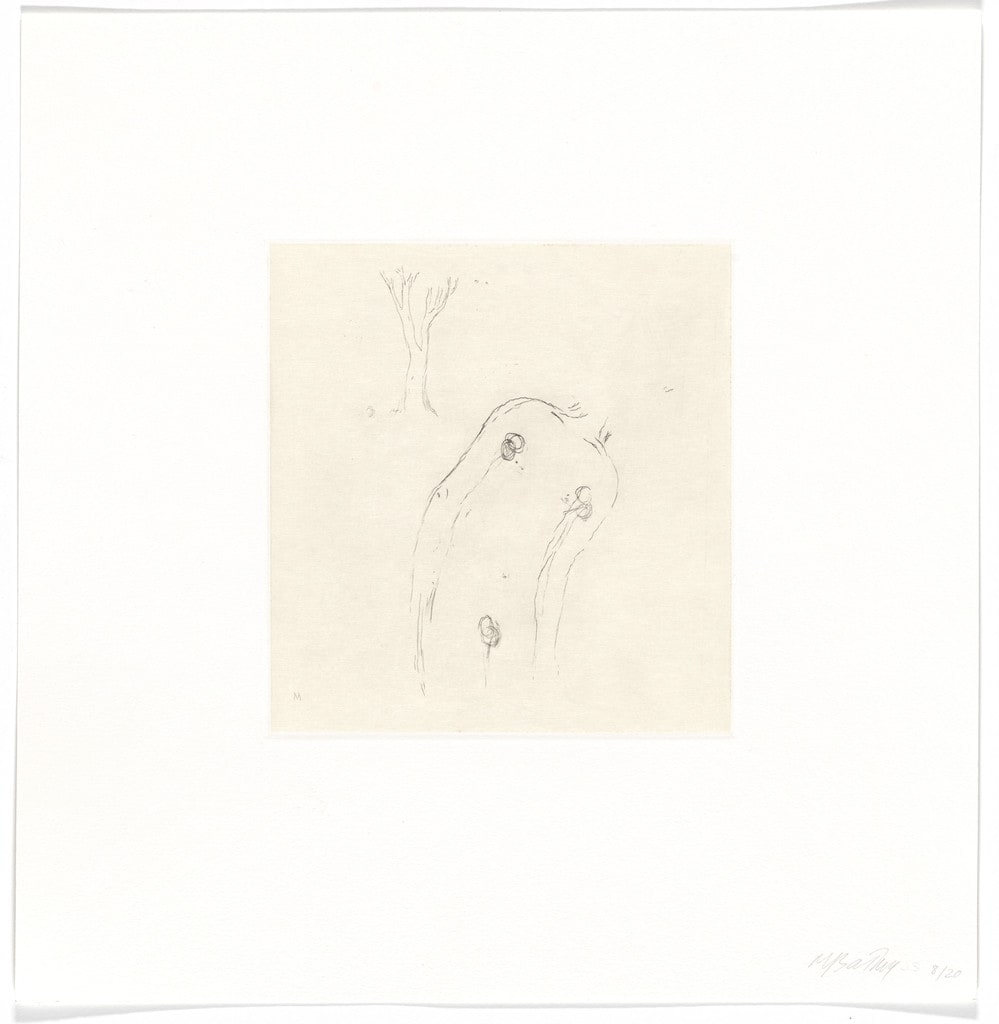 Untitled from Entering Paradise