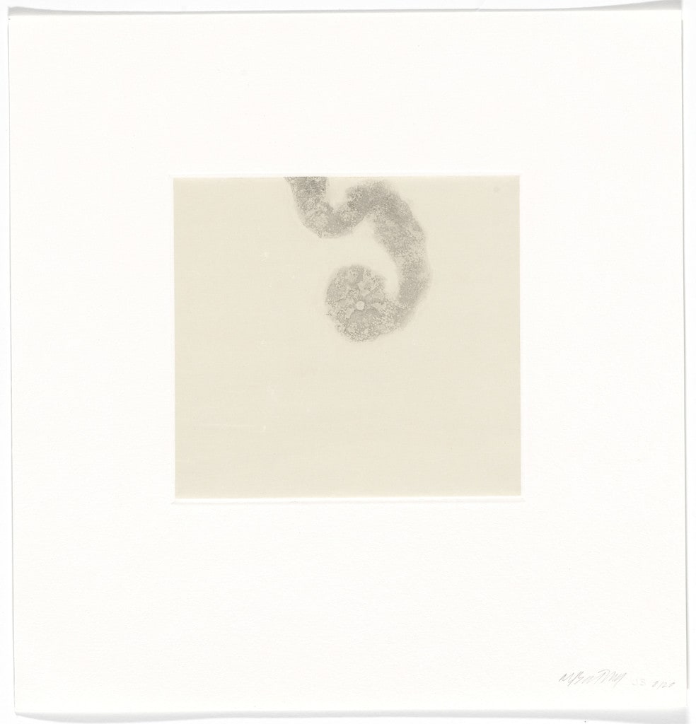 Untitled from Entering Paradise