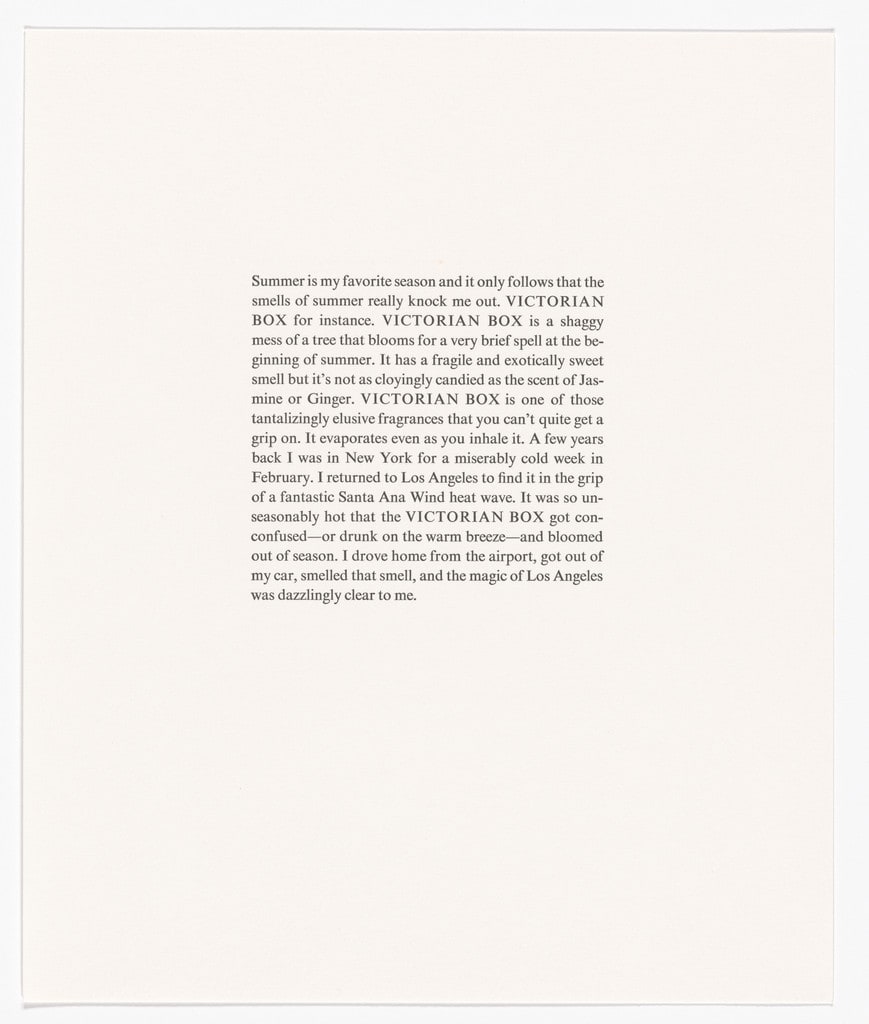 Untitled from The Smells of Summer