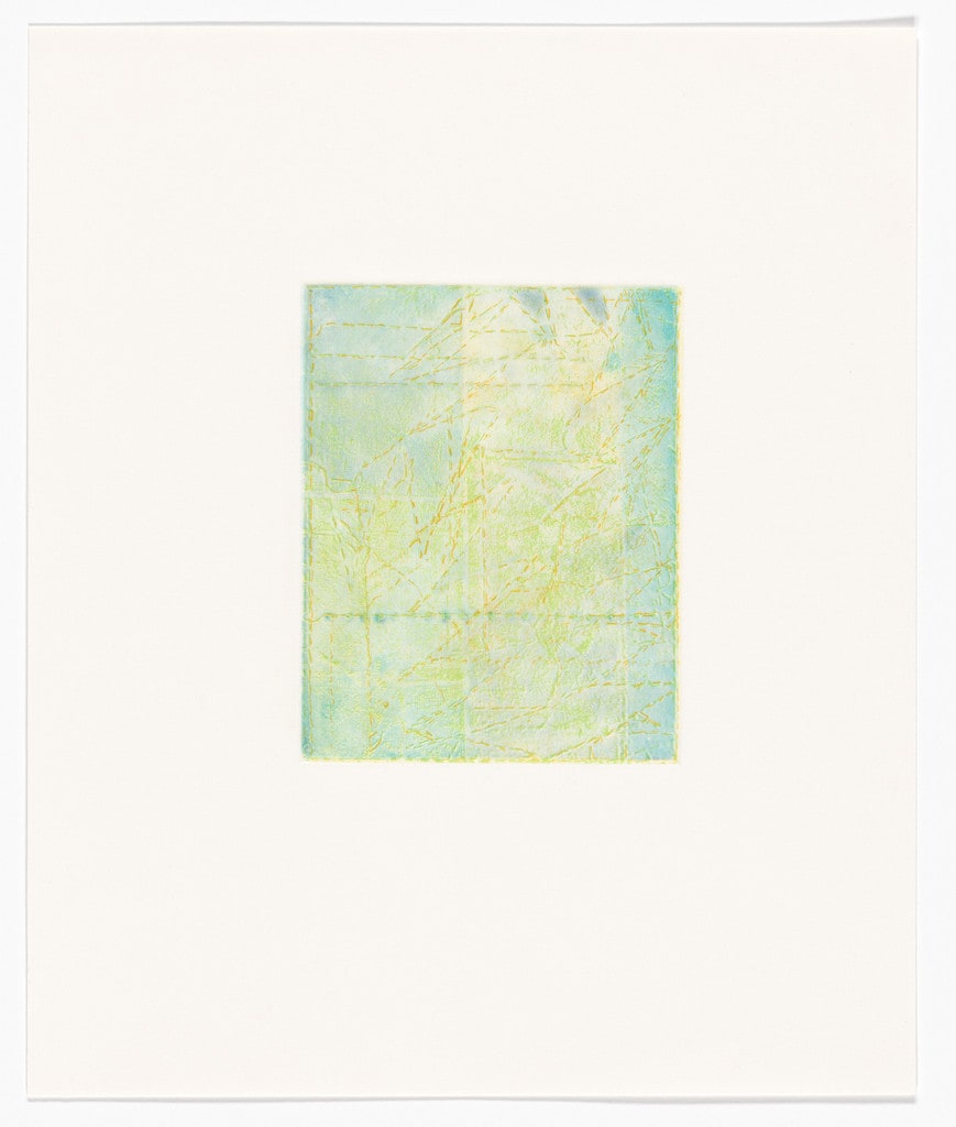 Untitled from The Smells of Summer