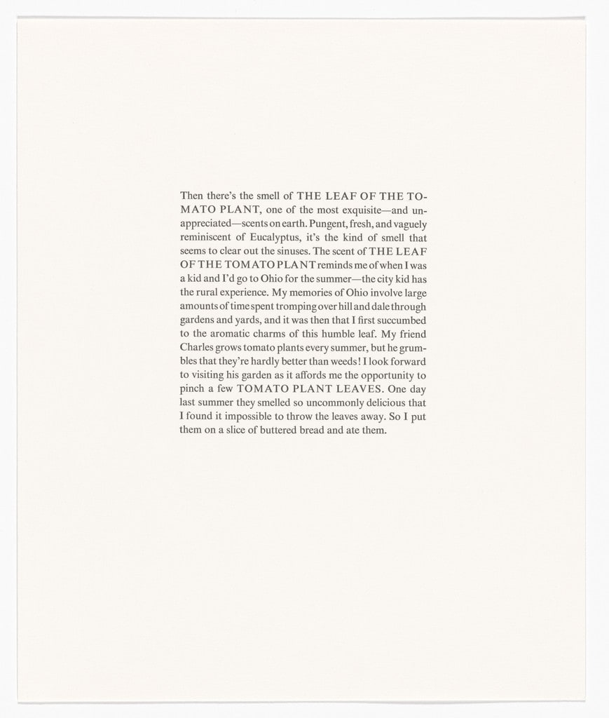 Untitled from The Smells of Summer