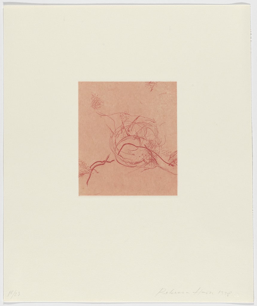 Untitled from Tailleur du Coeur (Tailor of the Heart)
