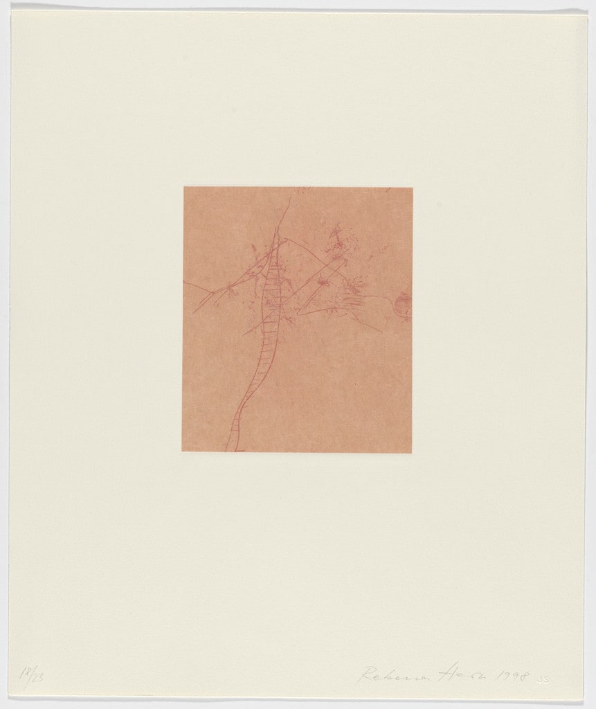 Untitled from Tailleur du Coeur (Tailor of the Heart)
