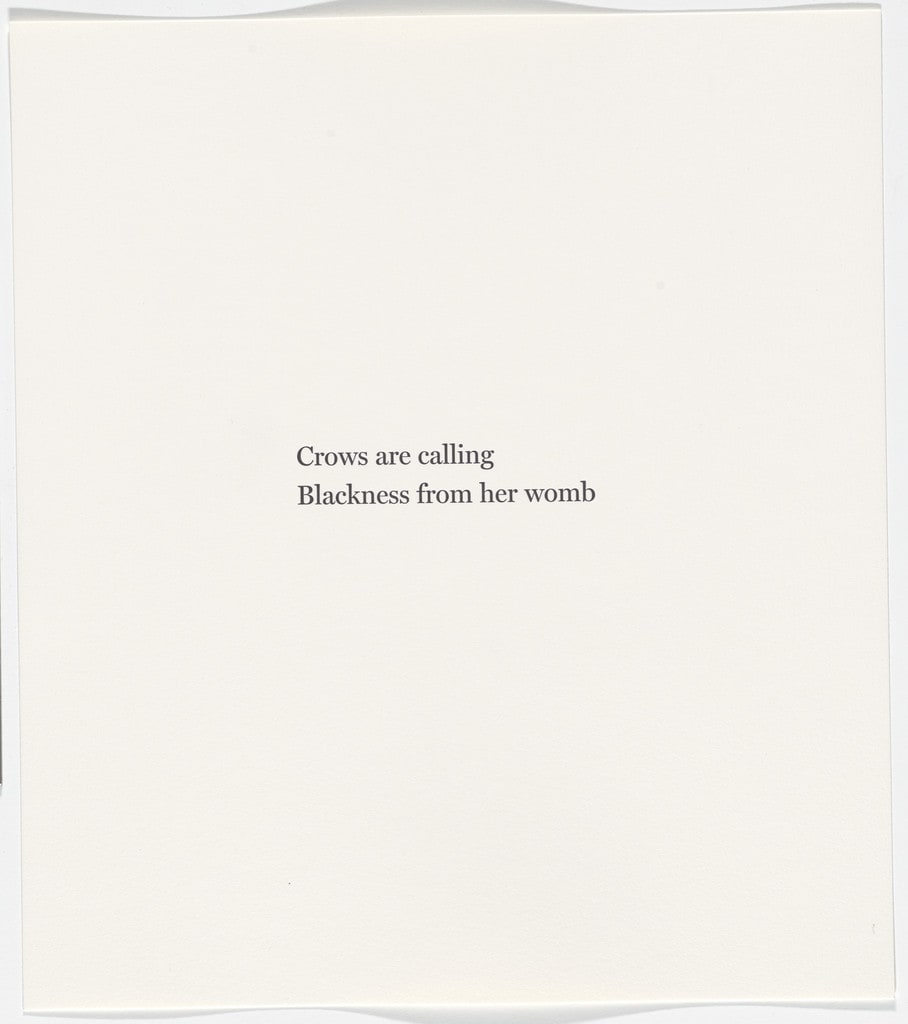 Untitled from Blackness from Her Womb