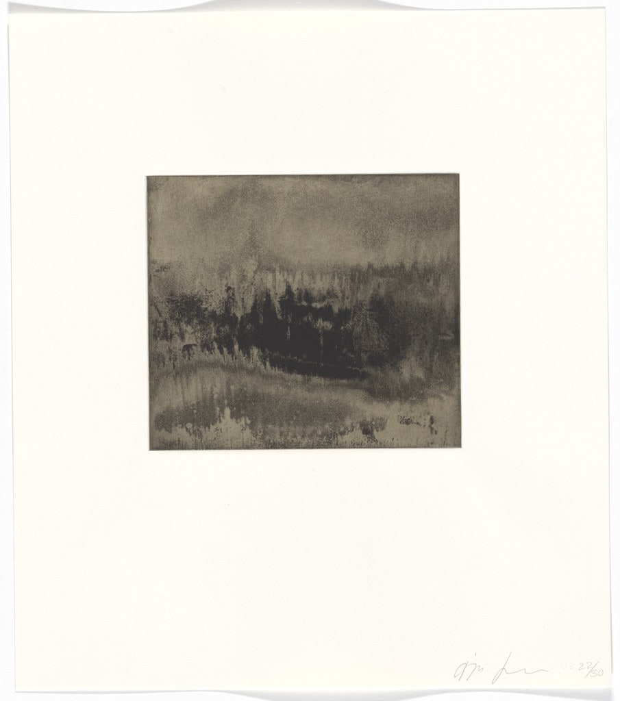 Untitled from Blackness from Her Womb