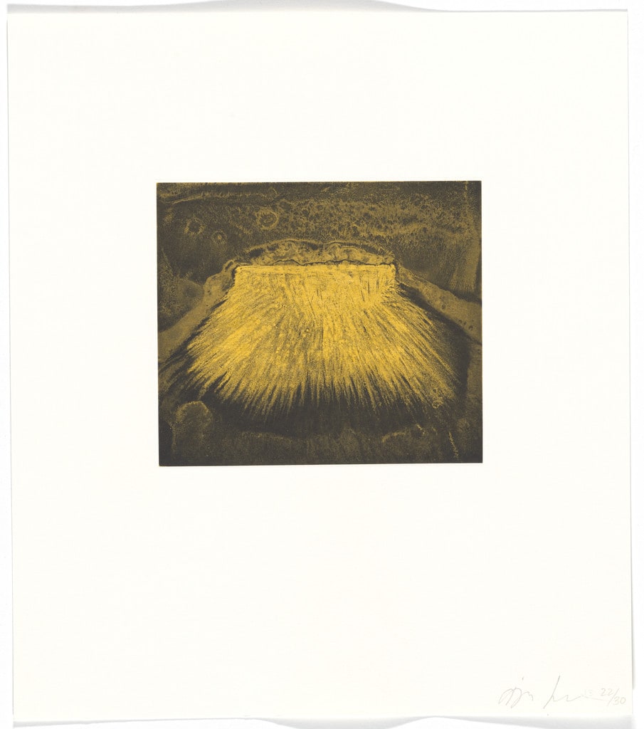 Untitled from Blackness from Her Womb