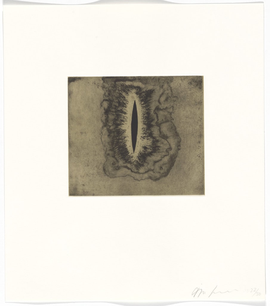 Untitled from Blackness from Her Womb