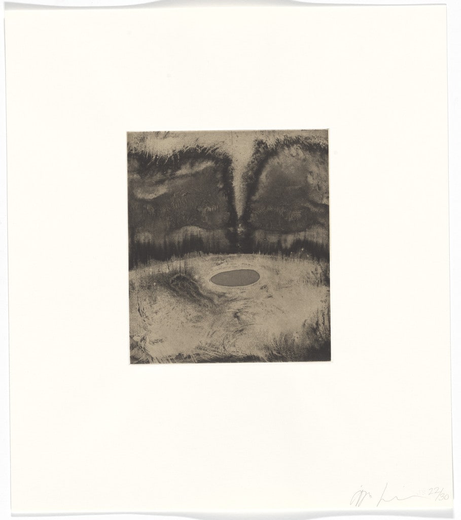 Untitled from Blackness from Her Womb